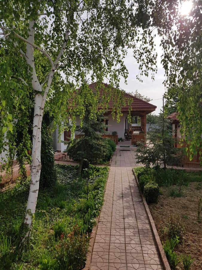 Verada Tour Guest House Somova Kültér fotó